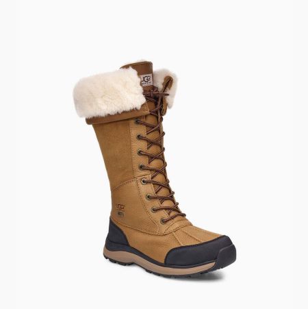 UGG Adirondack III Tall - Boots Dame - Brune (NO-N570)